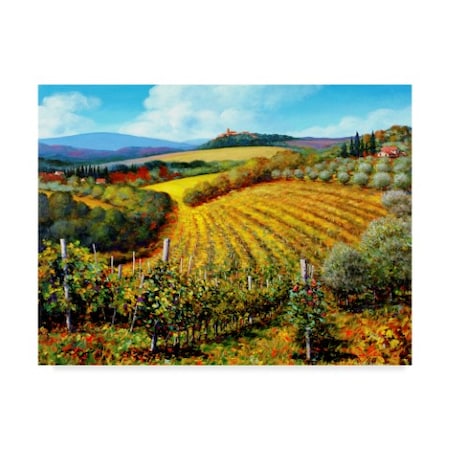 Michael Swanson 'Chianti Vineyards' Canvas Art,35x47